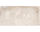 Керамогранит Tuscany Vernaccia Strong 20.3x40.6