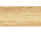 Керамическая настенная плитка Paradise WT9OAS31 Wood 25x50