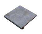 Ступень фронтальная Mytho Peldano Acero 32.5x33