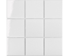 10х10 (StarMosaic)