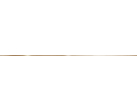 Бордюр BW0FRZ09 Фриз Голд/Frieze Gold 1.2х90
