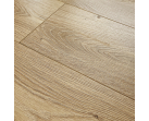 Ламинат Floorwood Paradigma 8335 Дуб Риман