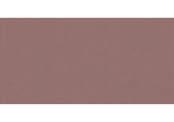  Керамогранит WIDE AND STYLE MINI PAPRIKA RET 60х120 
