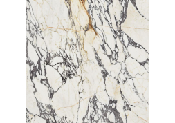  Керамогранит Supreme Treasure Corchia Gold Nat Ret 120x120