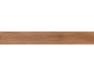 Arbiton BiClick 41612 Goldberg Oak