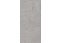 Керамогранит Avantgarde Silver Matt Rect 60x120