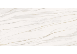 Керамогранит Fiorentino Silk Ret 60x120