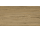 Керамогранит Alleya Brown K-2102/SR 60x120