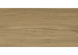 Керамогранит Alleya Brown K-2102/SR 60x120