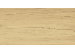 Керамогранит Alleya Honey K-2101/SR 60x120