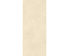 Керамическая настенная плитка Boost Expression Shell 50x120