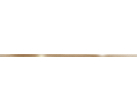 Бордюр BWM51MET808 Металлик Глосси Голд/Metallic Glossy Gold 1.2x50