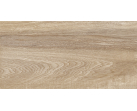 Настенная плитка TWU2550EPH40 Эйфория/Euphoria 24.9x50
