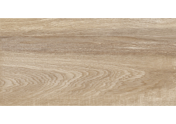Настенная плитка TWU2550EPH40 Эйфория/Euphoria 24.9x50
