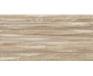 Настенная плитка TWU2550EPH44 Эйфория/Euphoria 24.9x50