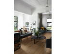 CONTEA (Coliseum Gres)