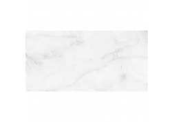 Керамогранит PALACIO ANTISKY GREY LIGHT 60x120 POLISHED