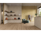 RETINA (Imola)