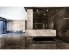STONE MARBLE BROWN (Arch-skin)