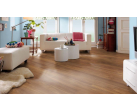 Ламинат Haro TRITTY 100 Ироко 529052 (без фаски)