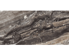  Керамогранит Luxury Amadeus Polished 60x120