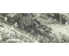Керамогранит Breccia Viridi Pol 120x278