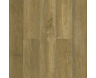 SРС ламинат Alpine Floor Classic Бук ECO 141-8 MC