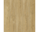 SРС ламинат Alpine Floor Classic Клен классический ECO 173-6 MC