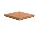 Ступень NOBLEZA Ang. Topacio Peldano Curvo 33x46