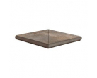 Ступень ROCAS DE GALICIA Sada Peldano Angolo 33x46