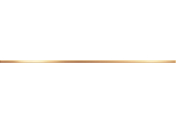 Бордюр Steel Max Gold 2х120