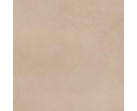 Керамогранит Mediterranea Coral PW R 60x60  