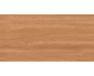 Керамогранит Cinar Brown Matt 60x120