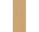 Керамическая настенная плитка True Color Caramel 50×120 