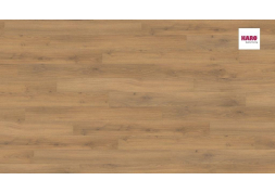 Ламинат Haro TRITTY 100 LOFT Дуб Эмилия Медовый 538720 (фаска 4v)