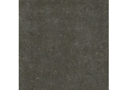 Керамогранит Rinascenza Arena Platino Matte 6mm 120x120